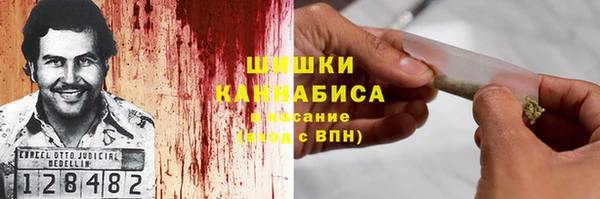 ПСИЛОЦИБИНОВЫЕ ГРИБЫ Белокуриха