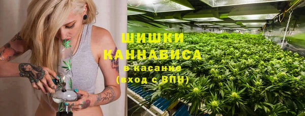 ПСИЛОЦИБИНОВЫЕ ГРИБЫ Белокуриха