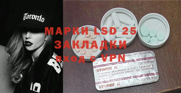 ПСИЛОЦИБИНОВЫЕ ГРИБЫ Белокуриха