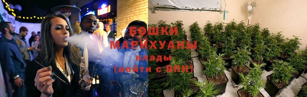ПСИЛОЦИБИНОВЫЕ ГРИБЫ Белокуриха